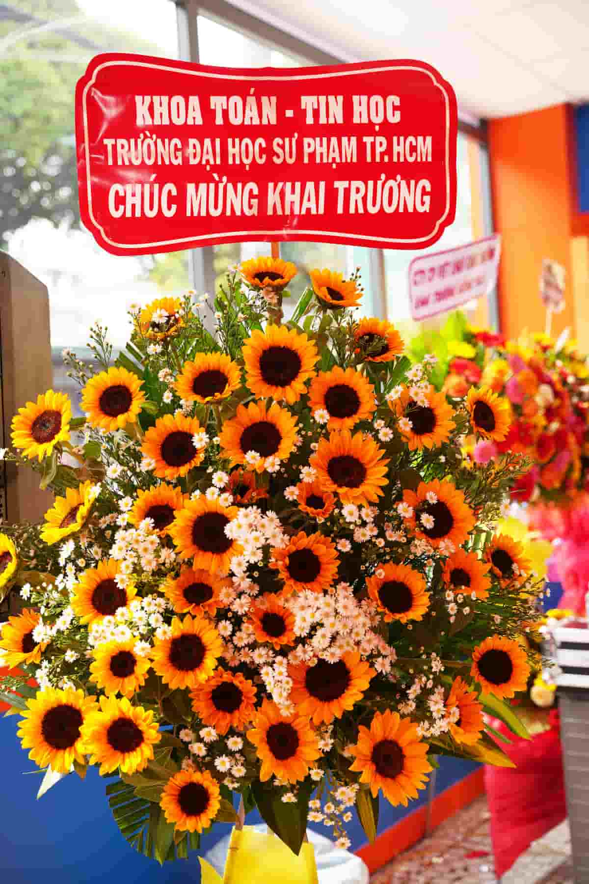 khoa toán tin học đại học sư phạm mừng khai trương